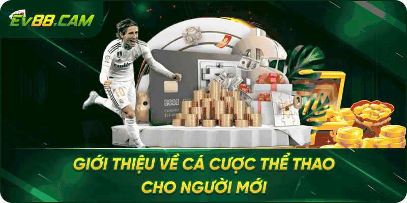 Giới thiệu về cá cược thể thao cho người mới